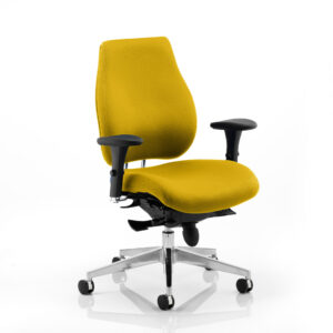 Chiro Plus High Back Ergonomic Posture Chair with Arms - Image 25