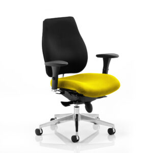 Chiro Plus High Back Ergonomic Posture Chair with Arms - Image 26