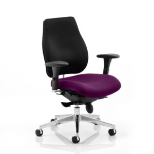 Chiro Plus High Back Ergonomic Posture Chair with Arms - Image 32