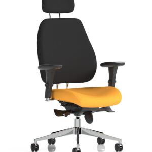 Chiro Plus High Back Ergonomic Posture Chair with Arms - Image 45
