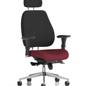 Chiro Plus High Back Ergonomic Posture Chair with Arms - Image 46