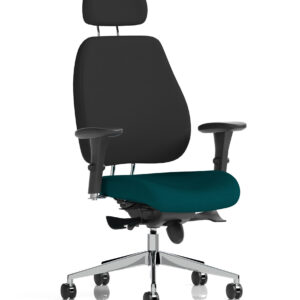 Chiro Plus High Back Ergonomic Posture Chair with Arms - Image 47