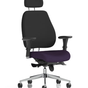 Chiro Plus High Back Ergonomic Posture Chair with Arms - Image 48
