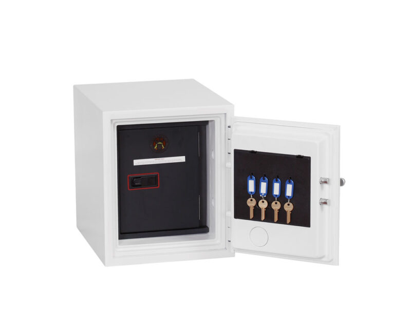 Phoenix Datacare Data Safe - Image 5