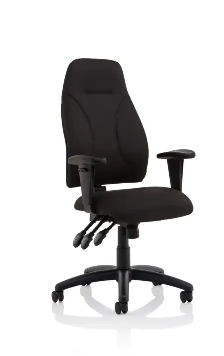 OE - Esme Posture Chair With Height Adjustable Arms Black Fabric